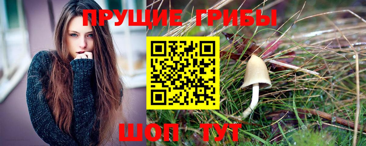 Галлюциногенные грибы Psilocybine cubensis Керчь