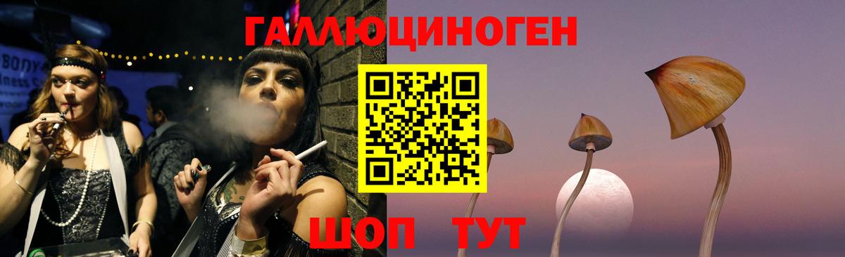 наркошоп  Вход с VPN  Керчь  Псилоцибиновые грибы Psilocybe 